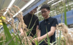 NW China's Hotan, Xinjiang explores key technologies for speed breeding