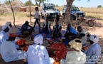 Tchad : Découvrez comment un agriculteur a épargné plus de 300 milles Frs en seulement 3 mois grâce à la vente de tomates et de piments