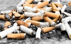 Le rapport sur l'état mondial de la réduction des risques liés au tabac montre comment réduire le nombre de décès