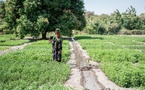 Tchad : Le PAM redonne vie aux terres tchadiennes, grâce au soutien américain