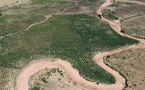 Tchad - 60 hectares de terres transformées : Le PAM change la donne à Sanour