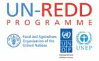 UN-REDD Programme launches upgraded website to reflect 2016-2020 strategic framework and post-Paris Climate Agreement environment