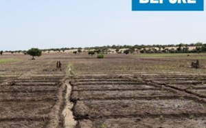 Images :  Asma Achahboun, WFP Chad