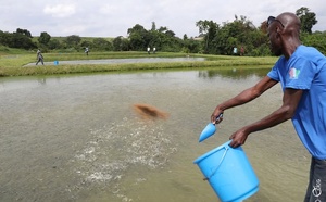 La Côte d'Ivoire mise sur l'élevage et la pisciculture pour assurer sa sécurité alimentaire