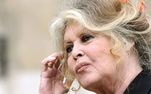 Tchad : Brigitte Bardot rend hommage au président Idriss Deby