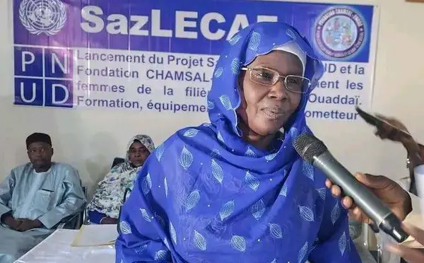 Tchad : à Abéché, la Fondation Chamsal-Houda forme les vendeuses sur la filière viande