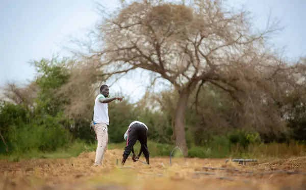 Sénégal : la BAD mobilise plus de 74 millions pour renforcer la promotion de l’entrepreneuriat des femmes et des jeunes