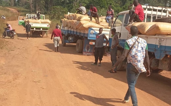 Côte d’Ivoire : l'opération « Verrou 322 » lutte contre la fuite des produits agricoles de rente