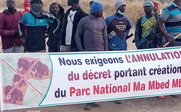 Cameroun : Le parc national Ma Mbed Mbed au cœur d'une vive contestation, un axe vital reliant le Cameroun au Tchad est bloqué