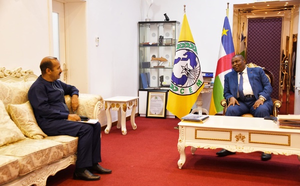 RCA : Rencontre entre le Président Faustin Archange Touadera et le Représentant Spécial Adjoint des Nations Unies