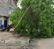 Tchad : la ville de N'Djamena a enregistré une grosse pluie accompagnée d'un vent violent