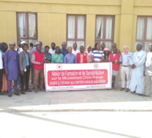 Tchad : La Croix Rouge initie les professionnels des médias aux premiers secours