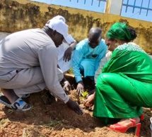 Tchad : à Abéché, l'ADAH contribue à la reforestation lors de la Semaine nationale de l'arbre