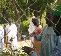 Tchad : 1000 plantes remises à la Délégation provinciale de l'Environnement du Lac