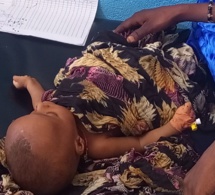 Tchad : dans le Kanem et le Bar El Ghazal, la réponse du corps soignant à la malnutrition