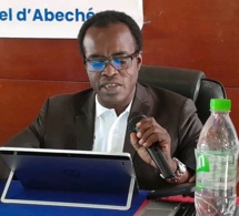 Tchad : à Abéché, lancement du projet de renforcement de capacités des ONG tchadiennes de l'Est