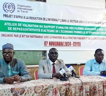 Tchad :  ouverture d'un atelier de validation du rapport d'analyse de filières agricoles