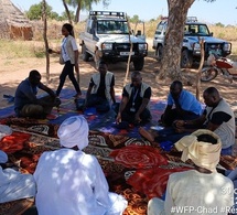 Tchad : Découvrez comment un agriculteur a épargné plus de 300 milles Frs en seulement 3 mois grâce à la vente de tomates et de piments