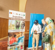 L'art au service de la nature : une exposition exceptionnelle pour préserver la biodiversité du Tchad