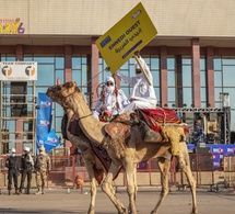 Festival Dary - Le dromadaire : un symbole fort des cultures de l'Ennedi Ouest et du Kanem