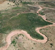 Tchad - 60 hectares de terres transformées : Le PAM change la donne à Sanour