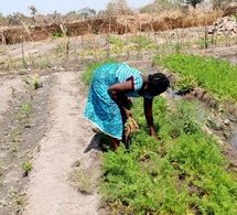 Tchad : une trentenaire se lance dans l’entrepreneuriat agricole