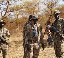 Tchad : Violents affrontements entre forces de l'ordre et braconniers dans la réserve de Bahr Salamat