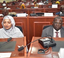 L'Assemblée nationale du Tchad se réunit en séance plénière pour renforcer son fonctionnement