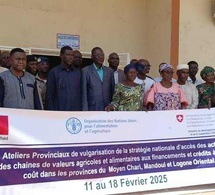 Tchad : au Moyen Chari, un atelier de vulgarisation de la stratégie nationale d'accès aux financements agricoles