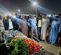 N'Djaména s'illumine : Le ministre de l'Énergie inspecte les nouveaux lampadaires solaires