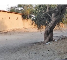 Tchad - Batha : Attaque de coupeurs de route près d'Ati, deux blessés et une somme importante dérobée