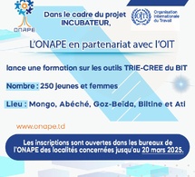 Opportunité de formation pour les jeunes entrepreneurs tchadiens