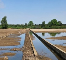 Tchad : L'UE et le HCR améliorent la production agricole grâce aux seuils d'épandage à Farchana