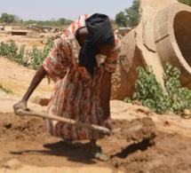 Tchad : Farchana, une localité à la couleur teintée