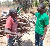 Tchad : Le COPIDEV se Mobilise pour la Préservation des Forêts à Sarh