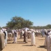 marché bétail moutons Tchad Goz Beida Sila mouton troupeau